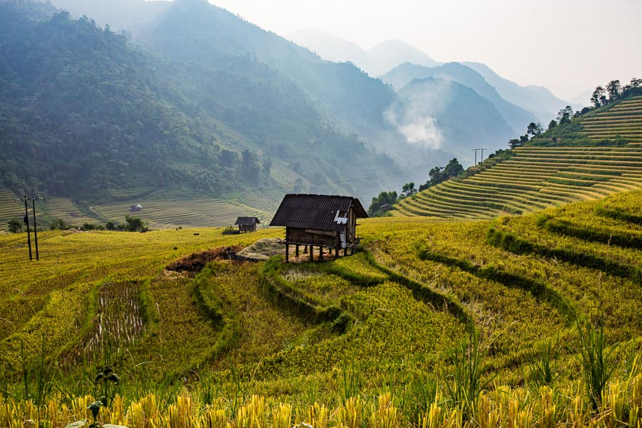 Aloha Vietnam Travel