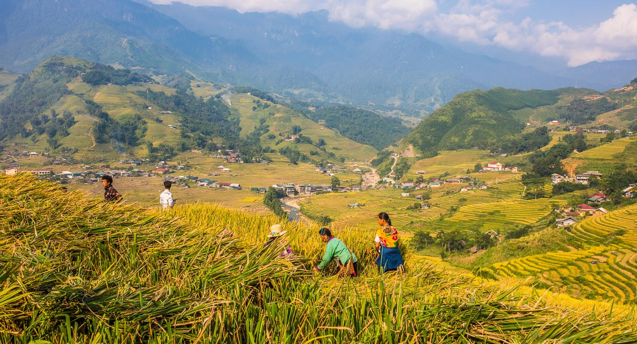 Aloha Vietnam Travel