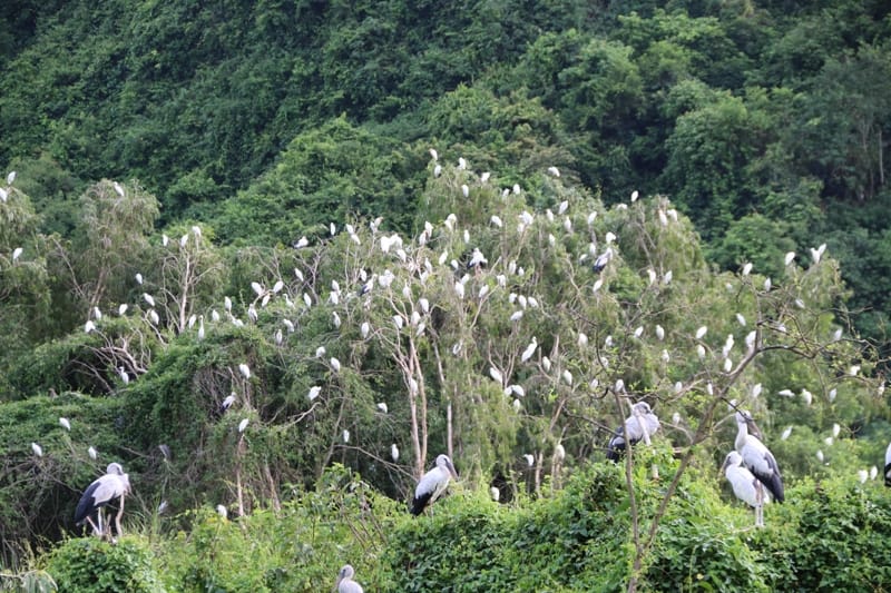 Aloha Vietnam Travel