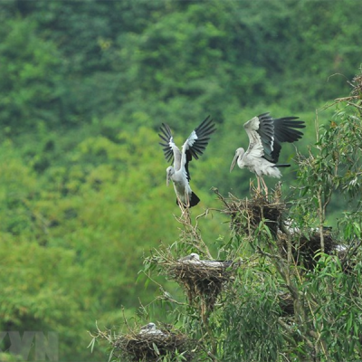 Thung Nham National Park