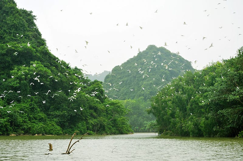 Aloha Vietnam Travel