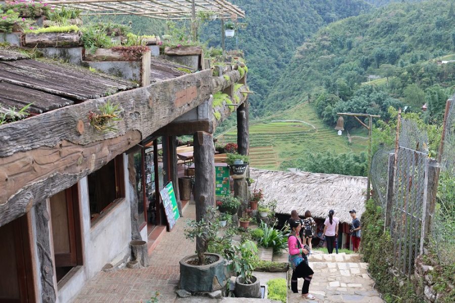 Sapa 3-Days Trekking Tour with Luxury Limousine Transfer (SP3D2)